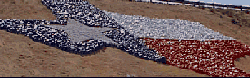 Texas color rock map at Pecos I-20 overpass, with West Texas in blue